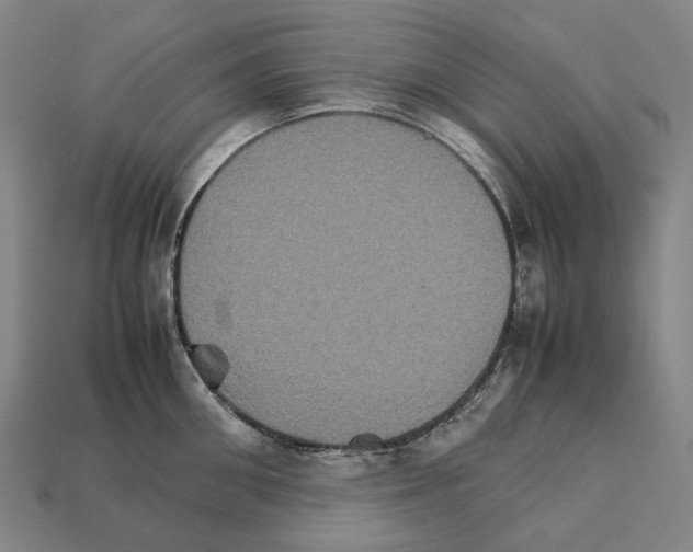 X0000111900906200909071133