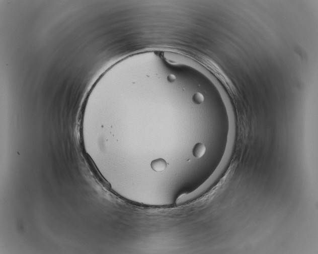 X0000111900908200909071133