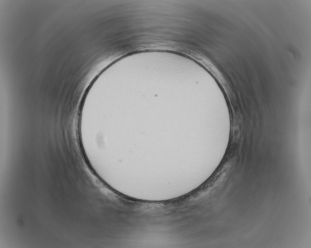 X0000111900909200909071133