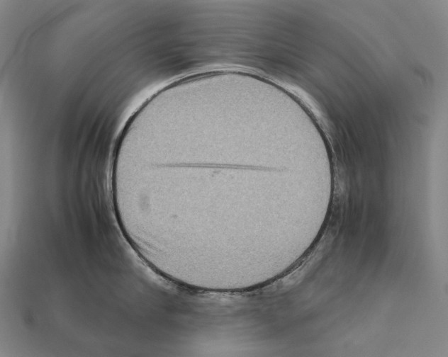 X0000111900910200909071133