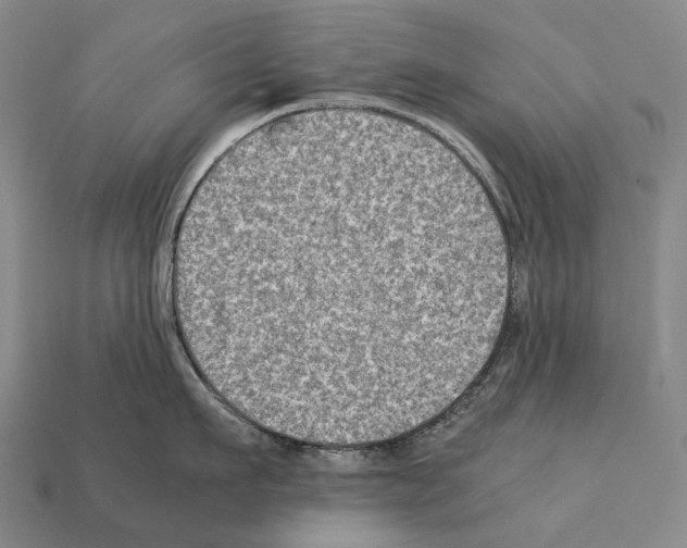 X0000111900911200909071133