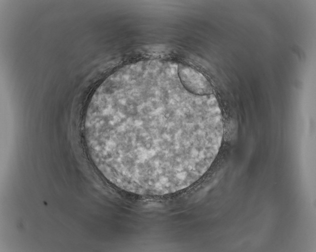 X0000111900913200909071133