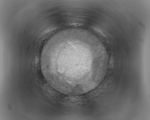 X0000111900917200909071133