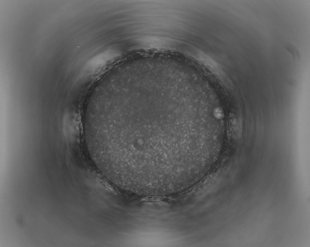 X0000111900918200909071133