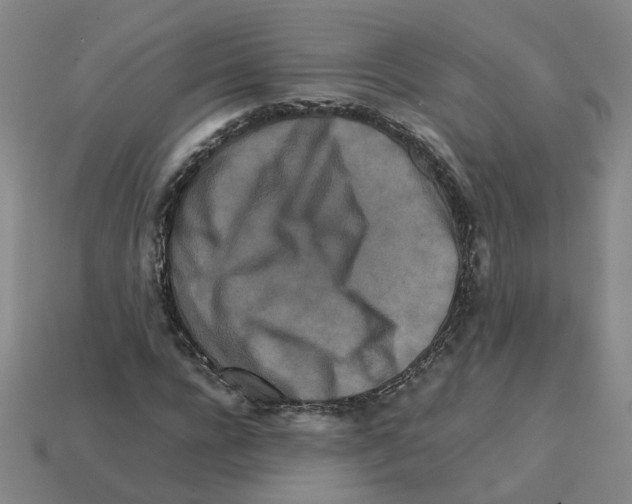 X0000111900920200909071133