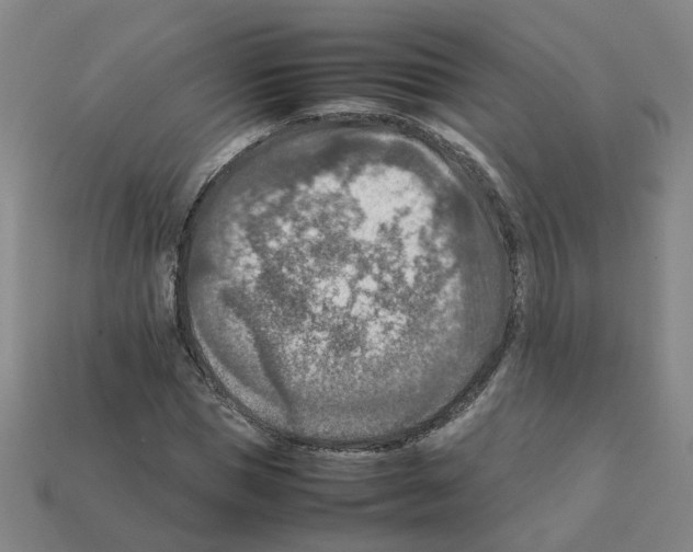 X0000111900921200909071133