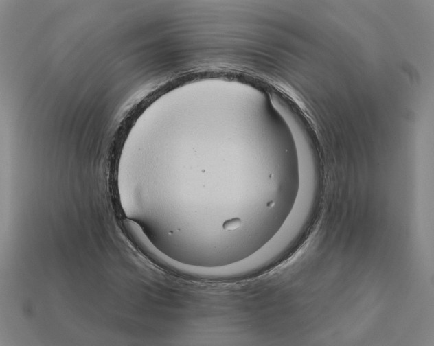 X0000111900922200909071133