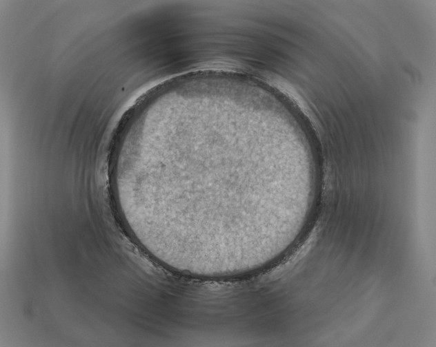 X0000111900923200909071133