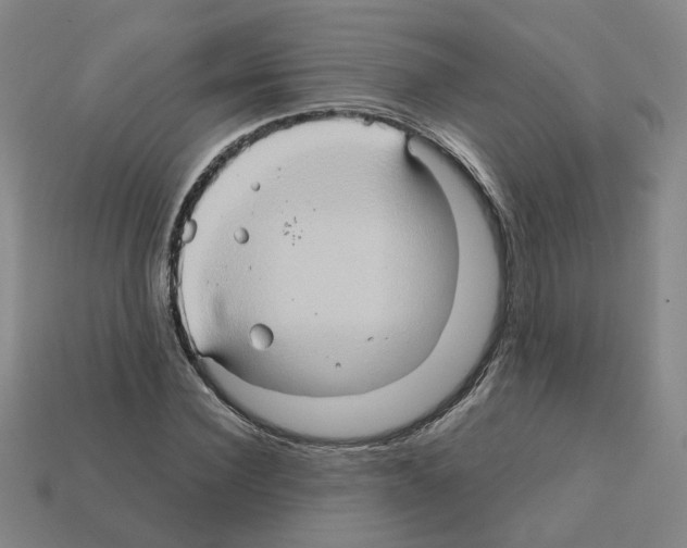 X0000111900924200909071133