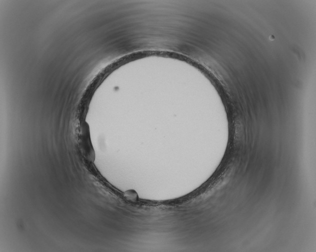 X0000111900926200909071133