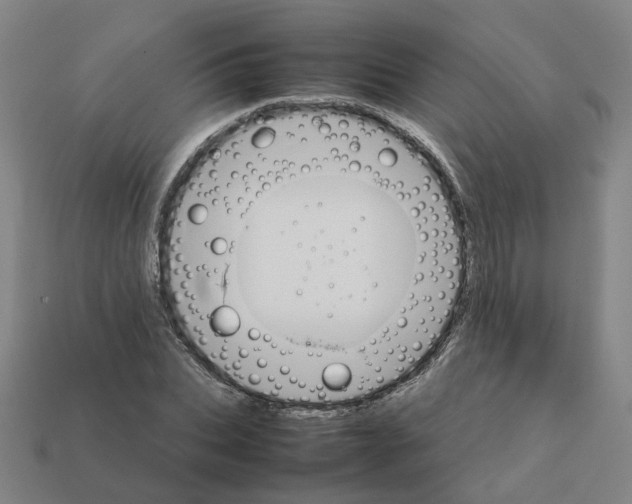 X0000111900927200909071133