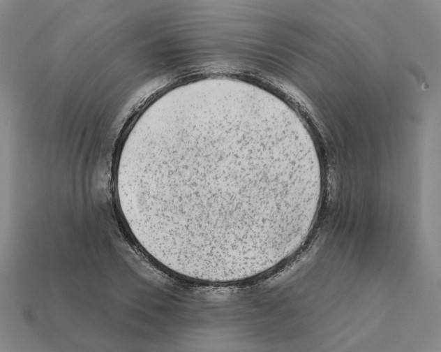 X0000111900930200909071133