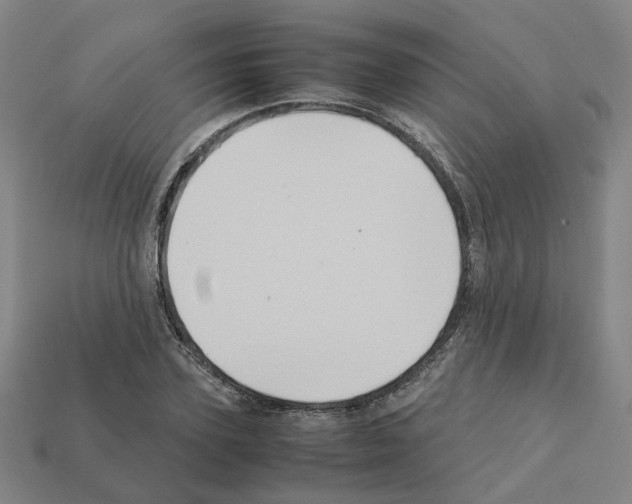 X0000111900931200909071133