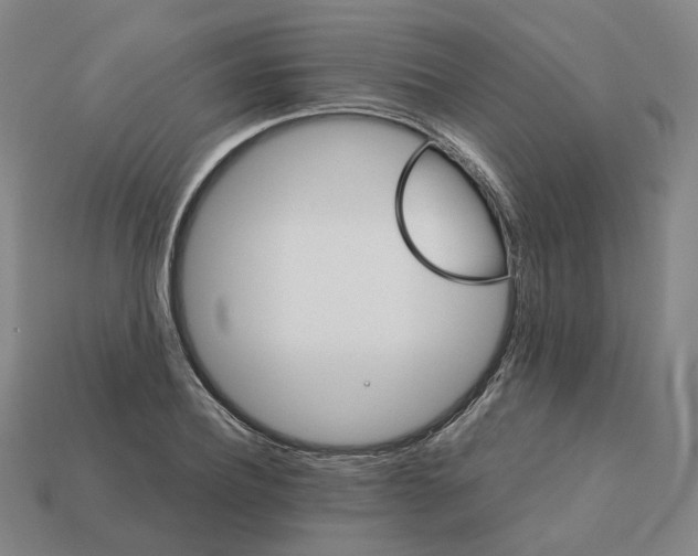 X0000111900932200909071133