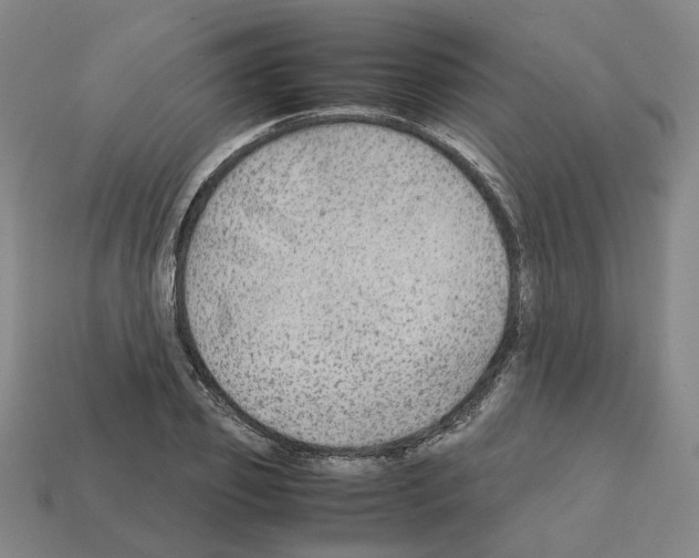 X0000111900933200909071133