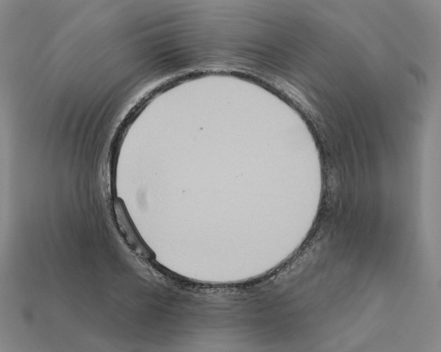 X0000111900934200909071133