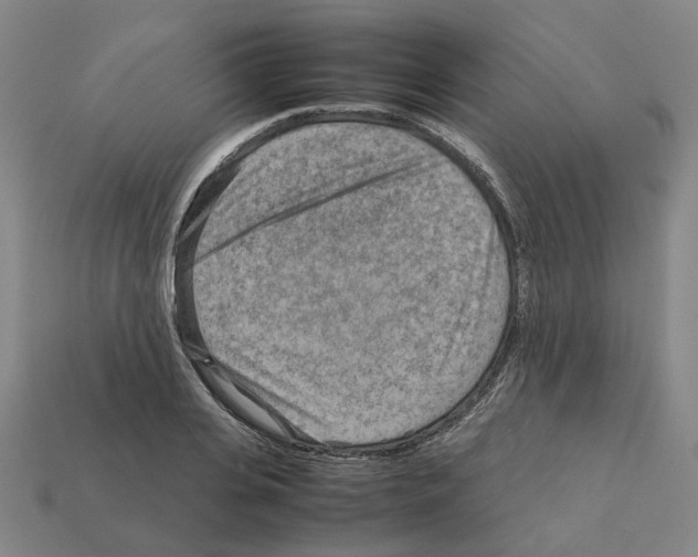 X0000111900935200909071133