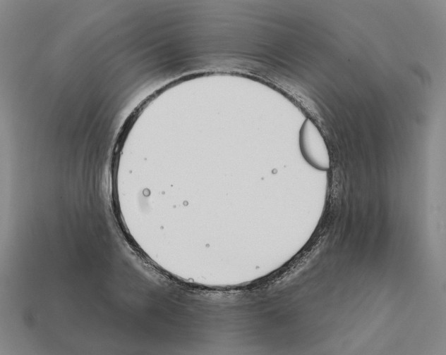 X0000111900936200909071133