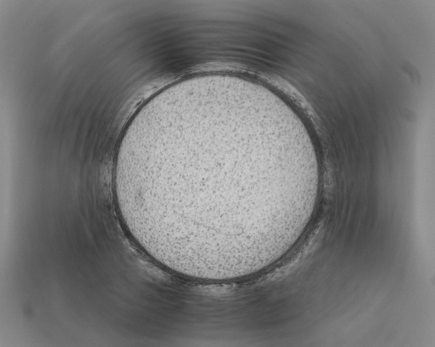 X0000111900937200909071133