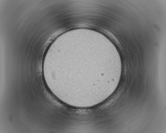 X0000111900938200909071133