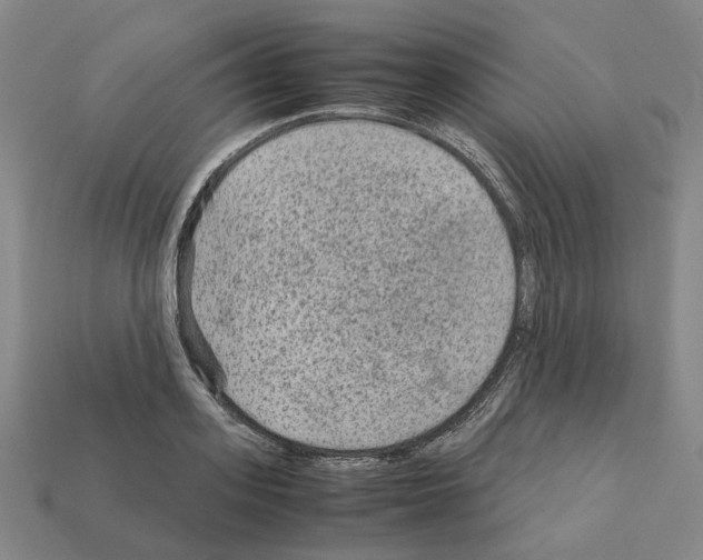 X0000111900939200909071133