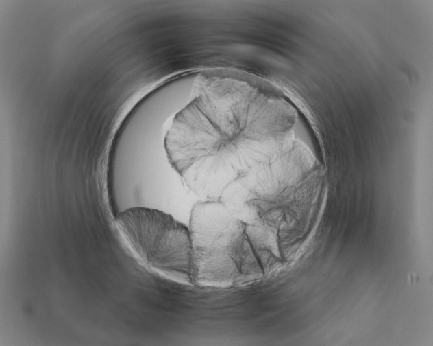 X0000111900941200909071133