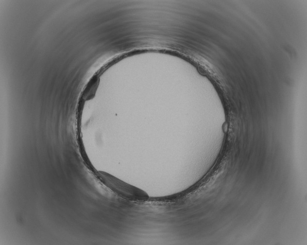 X0000111900942200909071133