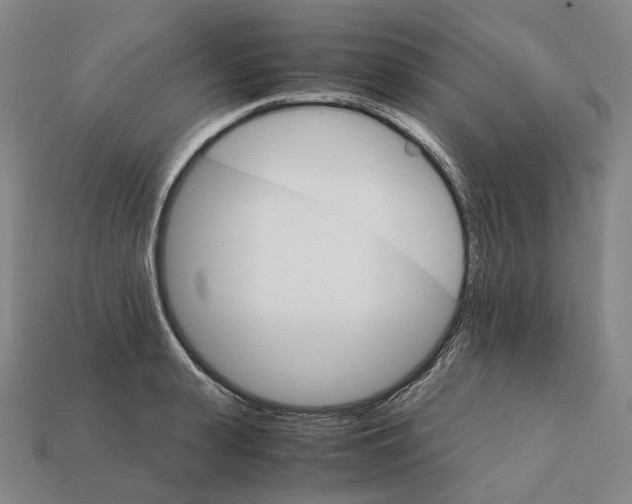 X0000111900943200909071133