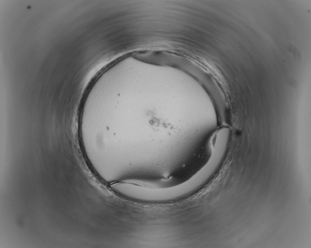 X0000111900944200909071133