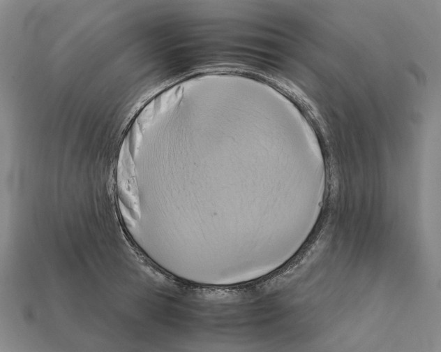 X0000111900945200909071133