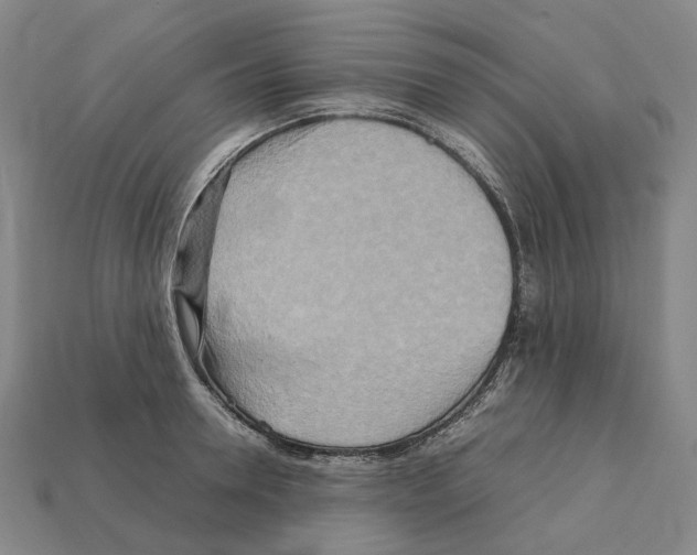 X0000111900946200909071133