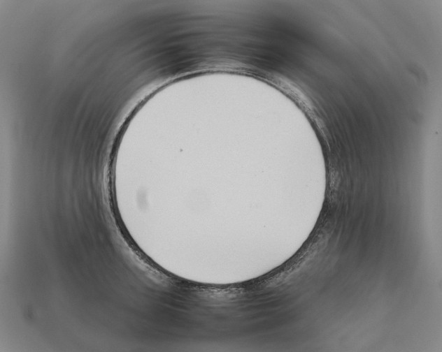 X0000111900947200909071133