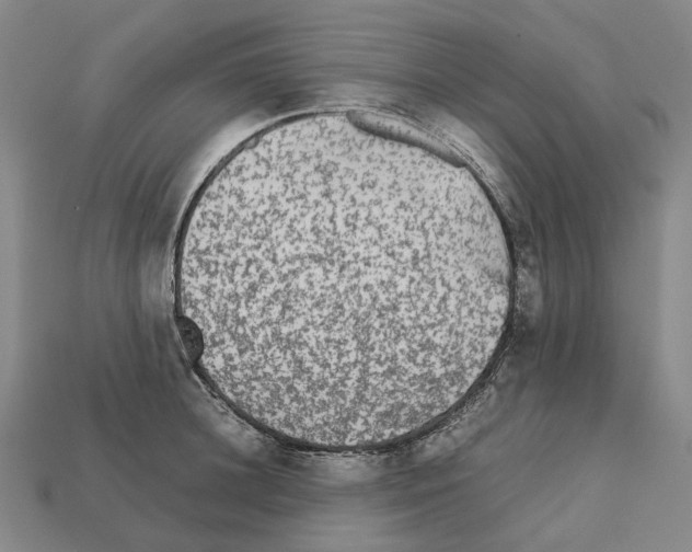 X0000111900948200909071133