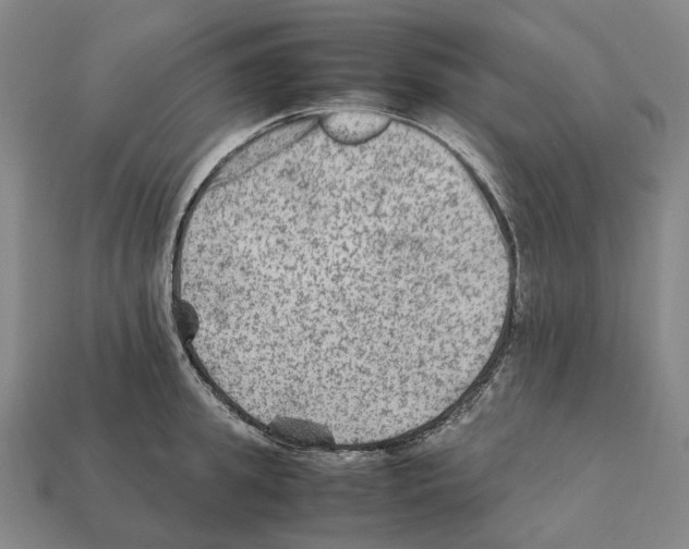 X0000111900949200909071133