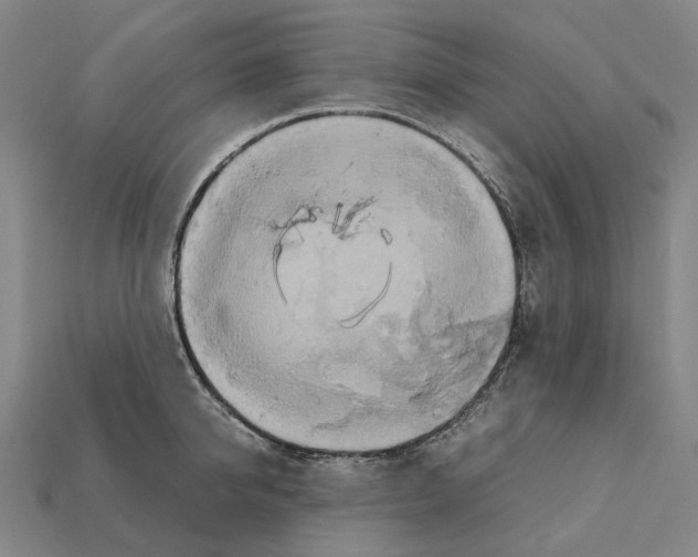 X0000111900950200909071133