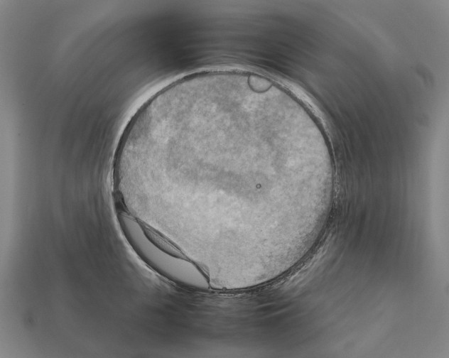 X0000111900951200909071133