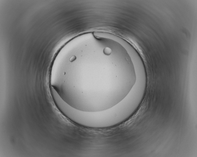 X0000111900952200909071133