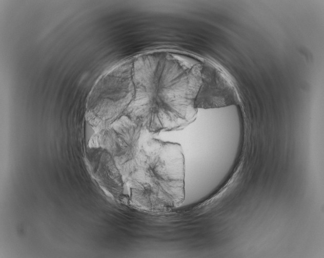 X0000111900953200909071133