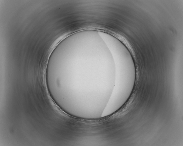 X0000111900954200909071133