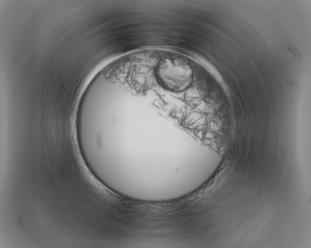 X0000111900955200909071133