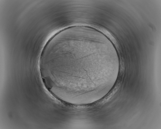 X0000111900958200909071133