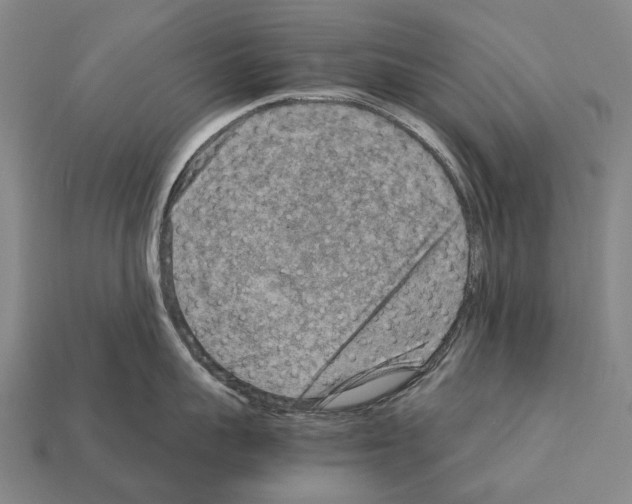 X0000111900959200909071133