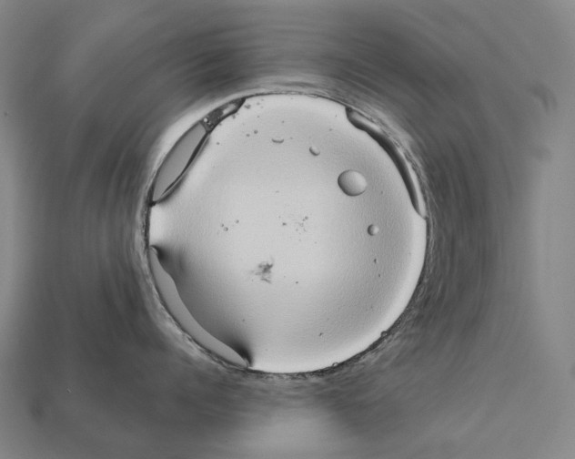 X0000111900960200909071133