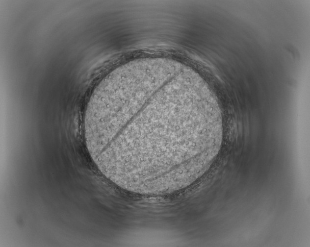 X0000111900966200909071133