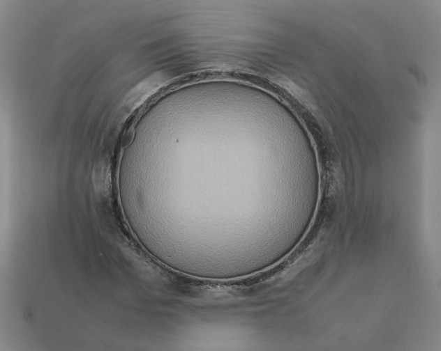 X0000111900969200909071133