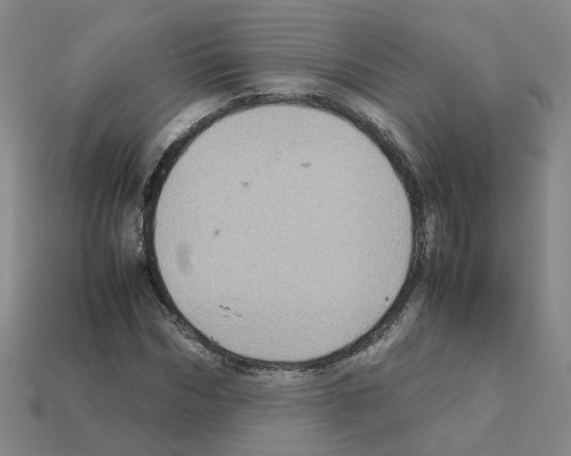 X0000111900970200909071133