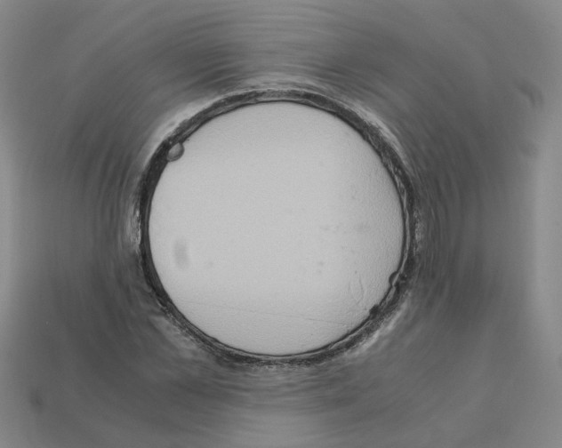 X0000111900973200909071133