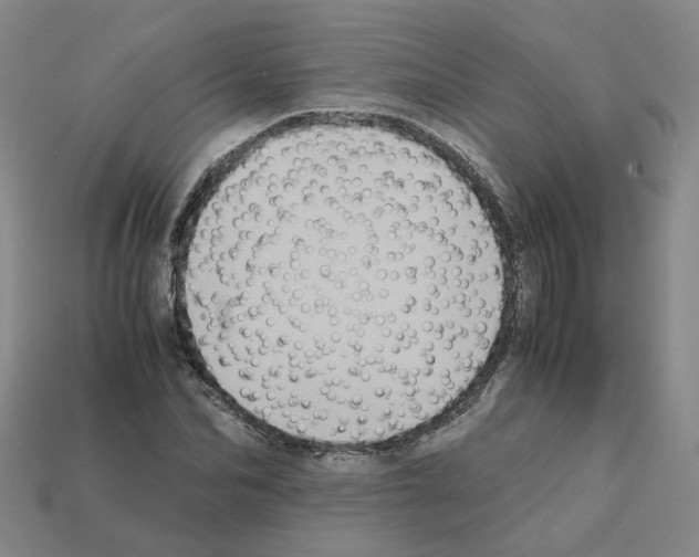 X0000111900974200909071132