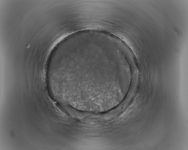 X0000111900975200909071132