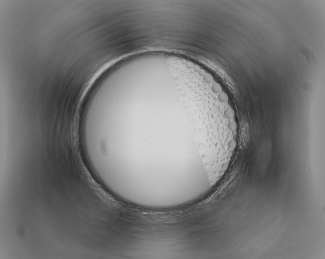 X0000111900976200909071132